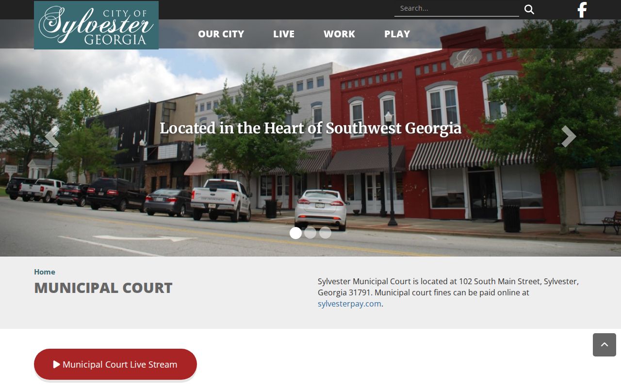 Sylvester warrant court details in Worth County